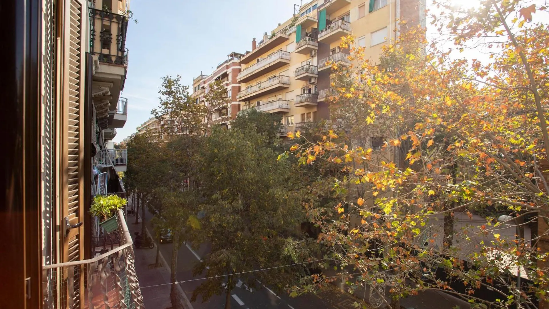 Radiant Vista Apartment Eixample Barselona